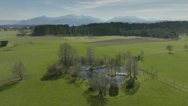 Bild 1 von 10: Ein Teich auf der Wiese.