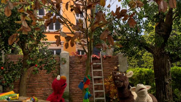 Bild 1 von 2: Elmo, Pferd und Wolle pflegen einen Baum.