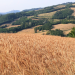 Emilia-Romagna - Italiens Genussregion