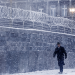 Bridge of Spies: Der Unterhändler