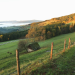 Roseggers Waldheimat - Ein Jahr im Zauberwald