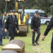 Bild 12