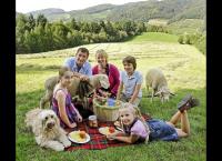Tiere bis unters Dach
