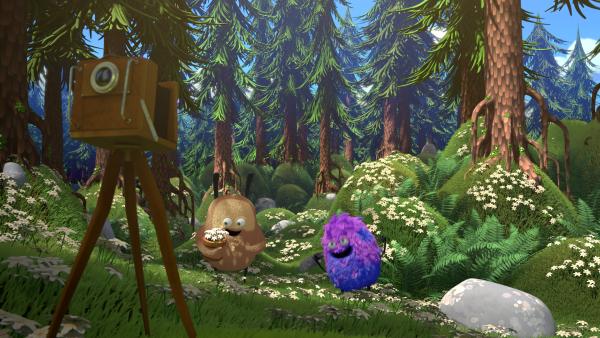 Bild 1 von 3: Kiwi und Strit wollen die Blumen vor der Waldkuh beschützen.