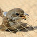 Abenteuer Wildnis