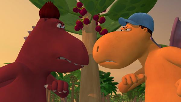 Bild 1 von 6: Nachbarschaftsstreit - wem gehört der seltene Drachenfruchtbaum?