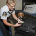 Hunde im Einsatz