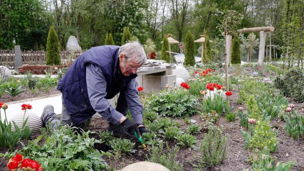 Bild 1 von 3: Im Bild: Walter Köstler, Bezirksgartenfachberater Siedlerverein.