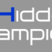 Hidden Champions