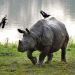 Big Five Asien
