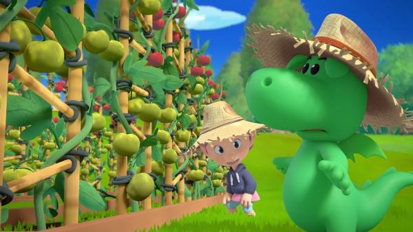 Bild 1 von 5: Grisu nimmt es auch bei der Tomatenernte sehr genau.