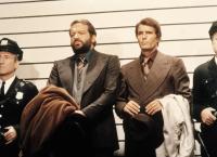 Der Dicke in Amerika