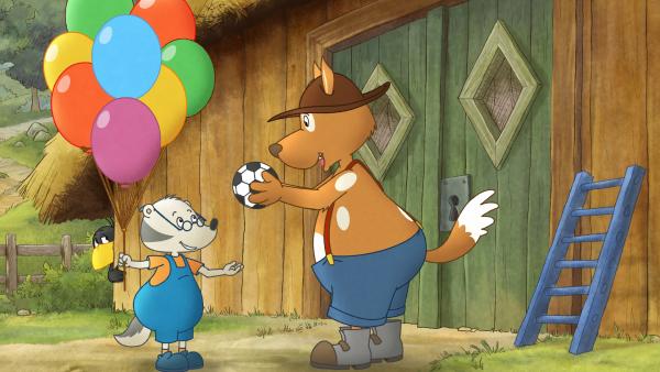 Bild 1 von 5: Der Kleine Dachs ist Sieger des Hofturniers.