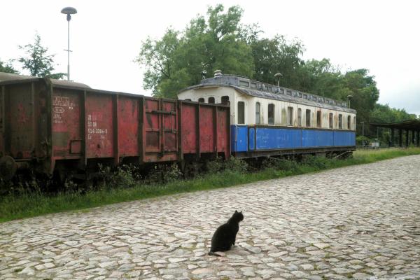 Bild 1 von 1: Bahnhof Seebad Ahlbeck - die Usedomer Eisenbahnfreunde e.V. haben dort alte Wagen abgestellt.