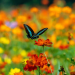 Die Farben der Tierwelt