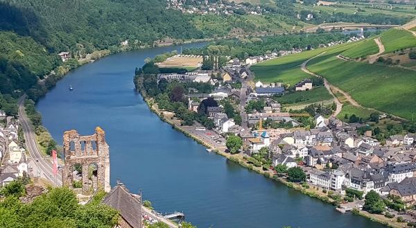 Bild 1 von 6: Blick auf die Ruine Grevenburg und Traben-Trarbach