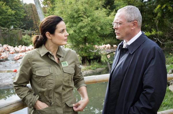 Bild 1 von 3: Die Lage ist ernst - der Leipziger Zoo steht ohne Direktor da und OB Herrenbrück (Frank Sieckel, rechts) bittet Tierärztin Dr. Mertens (Elisabeth Lanz) um Unterstützung. Wird sie die Zoodirektion übernehmen?