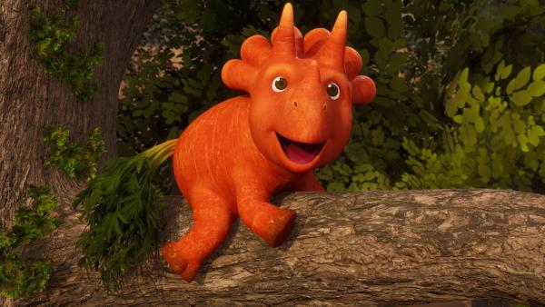 Bild 1 von 5: Noch ist Ginger auf ihrem Ast im hohen Baum das Lachen nicht vergangen.