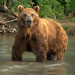 Russlands versteckte Paradiese