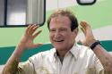 Robin Williams in: Die Chaoscamper