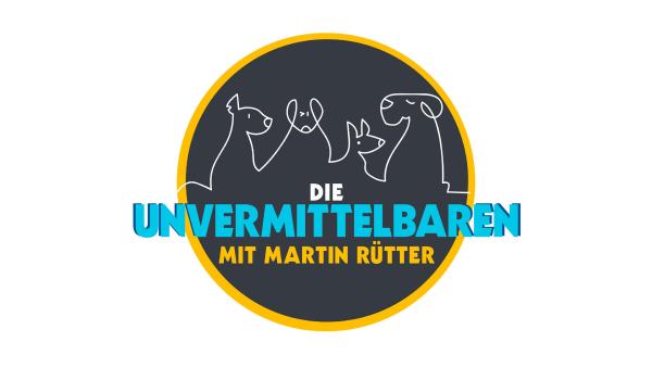 Bild 1 von 5: 