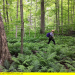 Nationalparks der Zukunft - Toronto