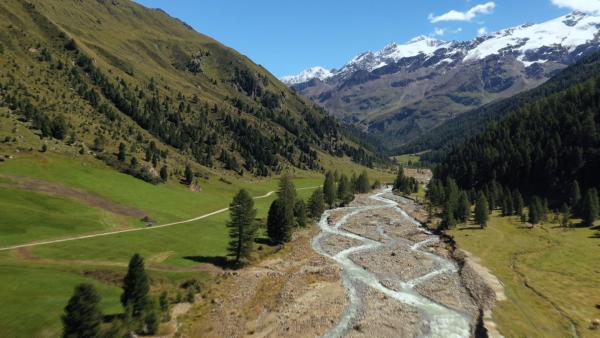 Bild 1 von 5: .