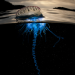 Der Blaue Planet
