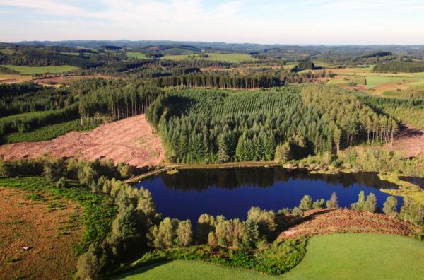 Bild 1 von 3: Das Plateau de Millevaches im französischen Zentralmassiv