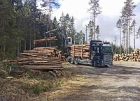 Bullerbü in Deutschland - Ein Schwedenhaus entsteht