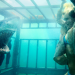 Bilder zur Sendung: Shark Night