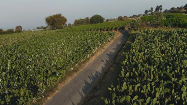 Bild 1 von 7: .