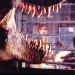 Vergessene Welt: Jurassic Park 2