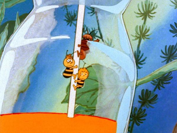 Bild 1 von 6: Biene Maja