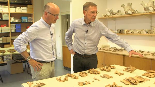 Bild 1 von 4: Der Archäozoologe Norbert Benecke (rechts) zeigt Karsten Schwanke die Tierknochenausbeute einer einzigen Ausgrabung. Sie gibt Auskunft über die Lebensumstände der Menschen damals.
