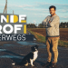 Der Hundeprofi unterwegs