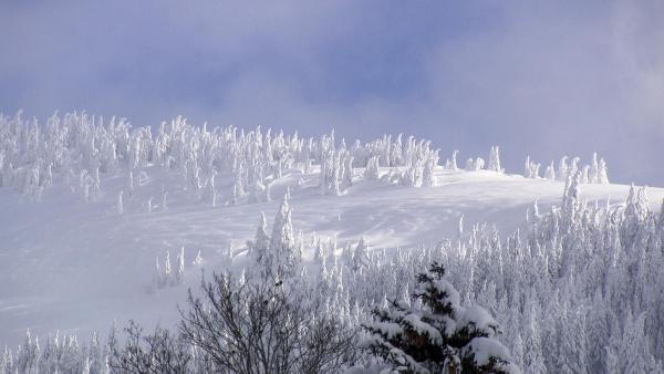 Bild 1 von 23: Im Bild: Berge über Kitzbühel.