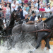 Sport im Westen live
