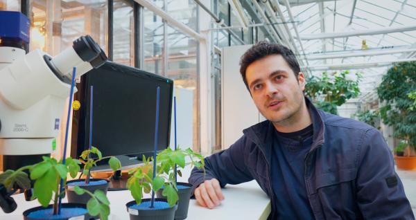 Bild 1 von 3: Dennis Psaroudakis, Doktorand in der Arbeitsgruppe \