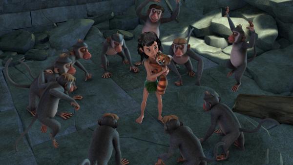 Bild 1 von 7: Mogli und Ponya, die kleine rote Pandabärin, wollten flüchten. Doch die Affenbande hat sie dabei erwischt und eingekreist.