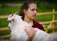 Elefant, Tiger & Kids: Zoo-Praktikum Backstage