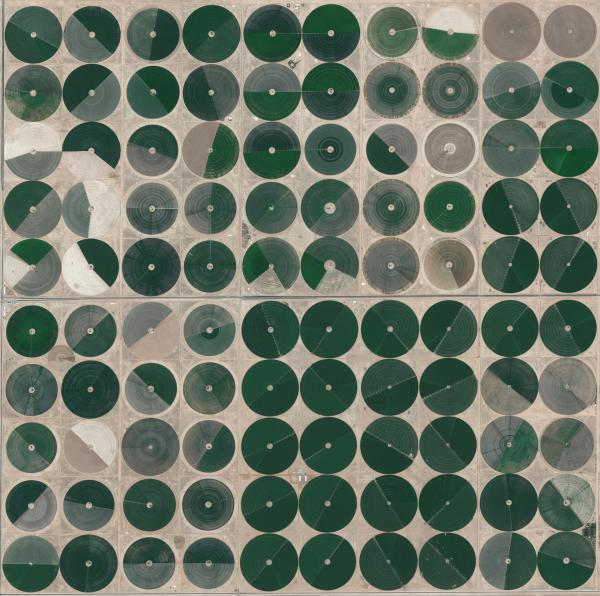 Bild 1 von 12: Kreis-Bewässerungssystem in Saudi-Arabien.