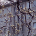 Stadtfrühling (1984)