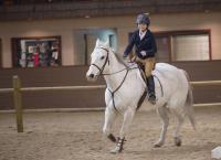 Heartland - Paradies für Pferde