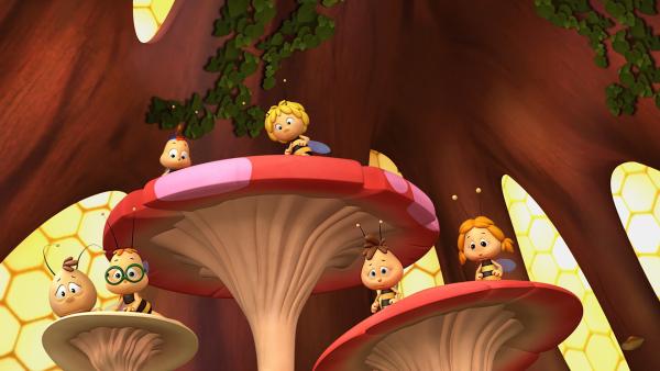 Bild 1 von 4: Die Bienenkinder machen Unsinn.