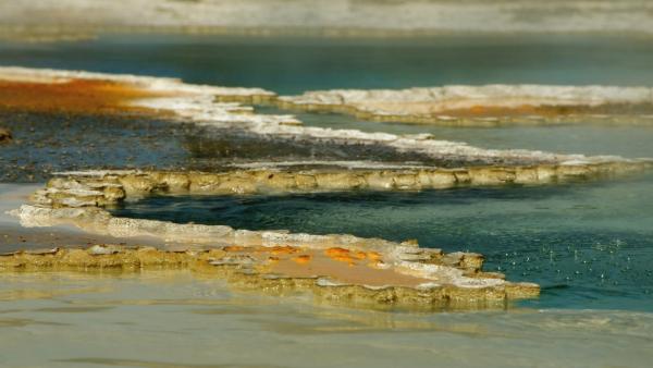 Bild 1 von 8: Muschelperlen wurden von Homo sapiens schon vor 82.000 Jahren an der Meeresküste gesammelt, um daraus Schmuck herzustellen.