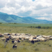 Zauberhaftes Albanien