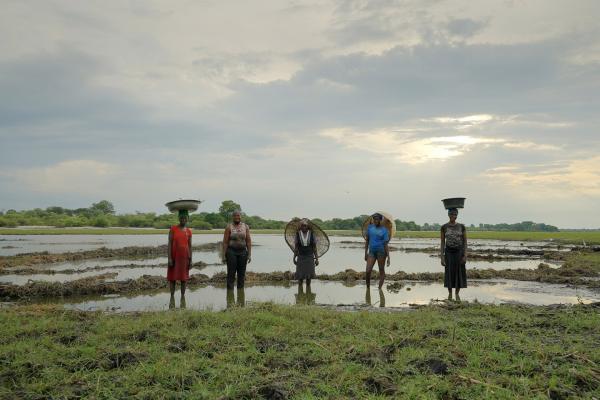 Bild 1 von 3: Beim Fischen begegnen den Frauen viele Gefahren wie Schlangen, Krokodile oder auch Flusspferde. In Afrika werden jährlich 500 Menschen Opfer von Flusspferd-Angriffen.