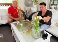 Hot oder Schrott - Die Allestester