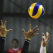 Volleyball Live - Bundesliga